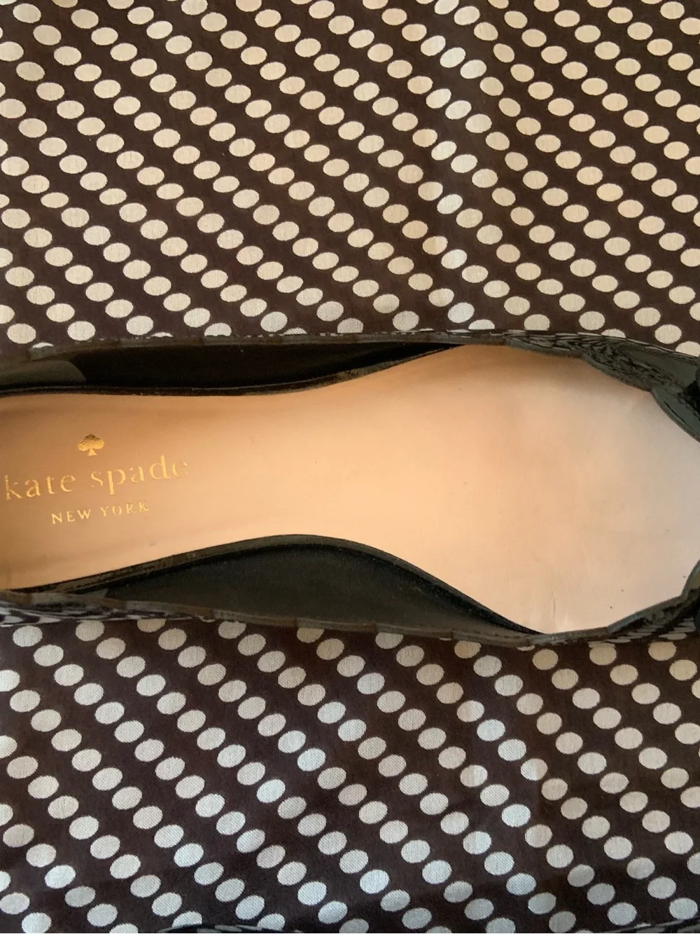 kate spade kate spade